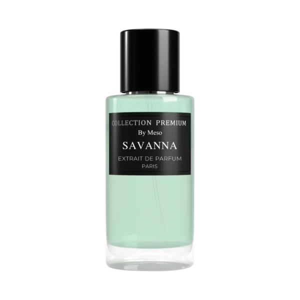 Vergelijkbaar met Bal D'Afrique - SAVANNA